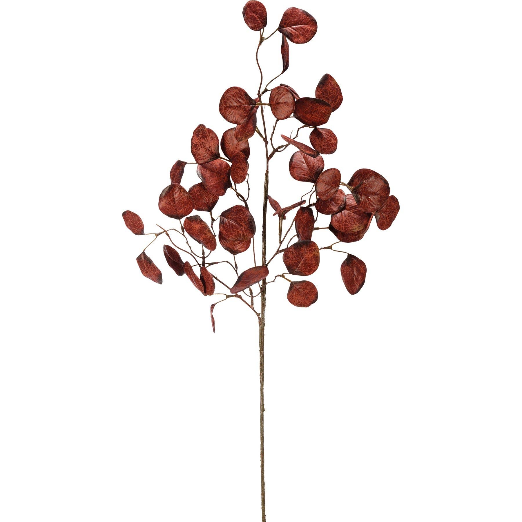 Burgundy Eucalyptus Floral