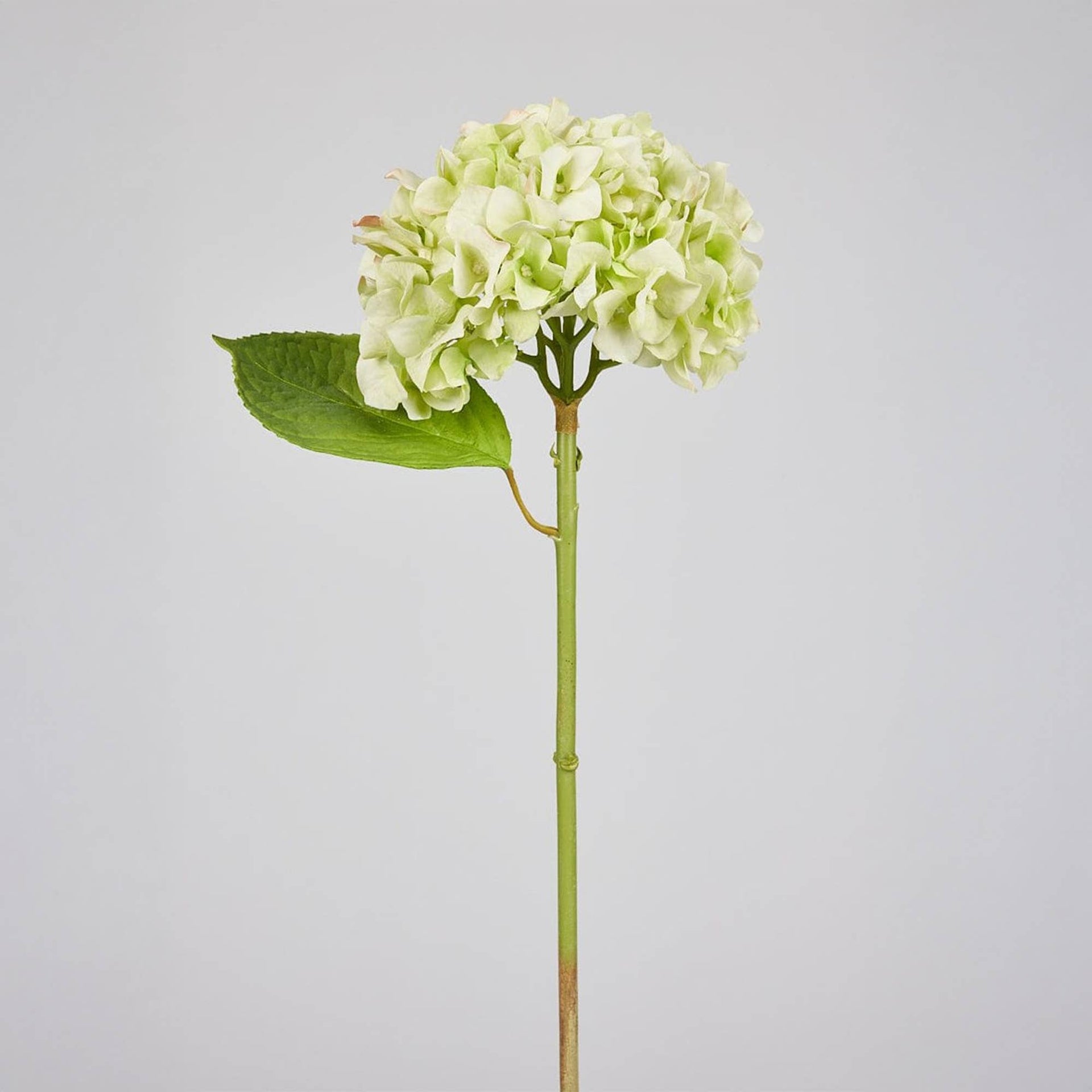 Faux Flowers French Country Green Real Touch Hydrangea - 18"