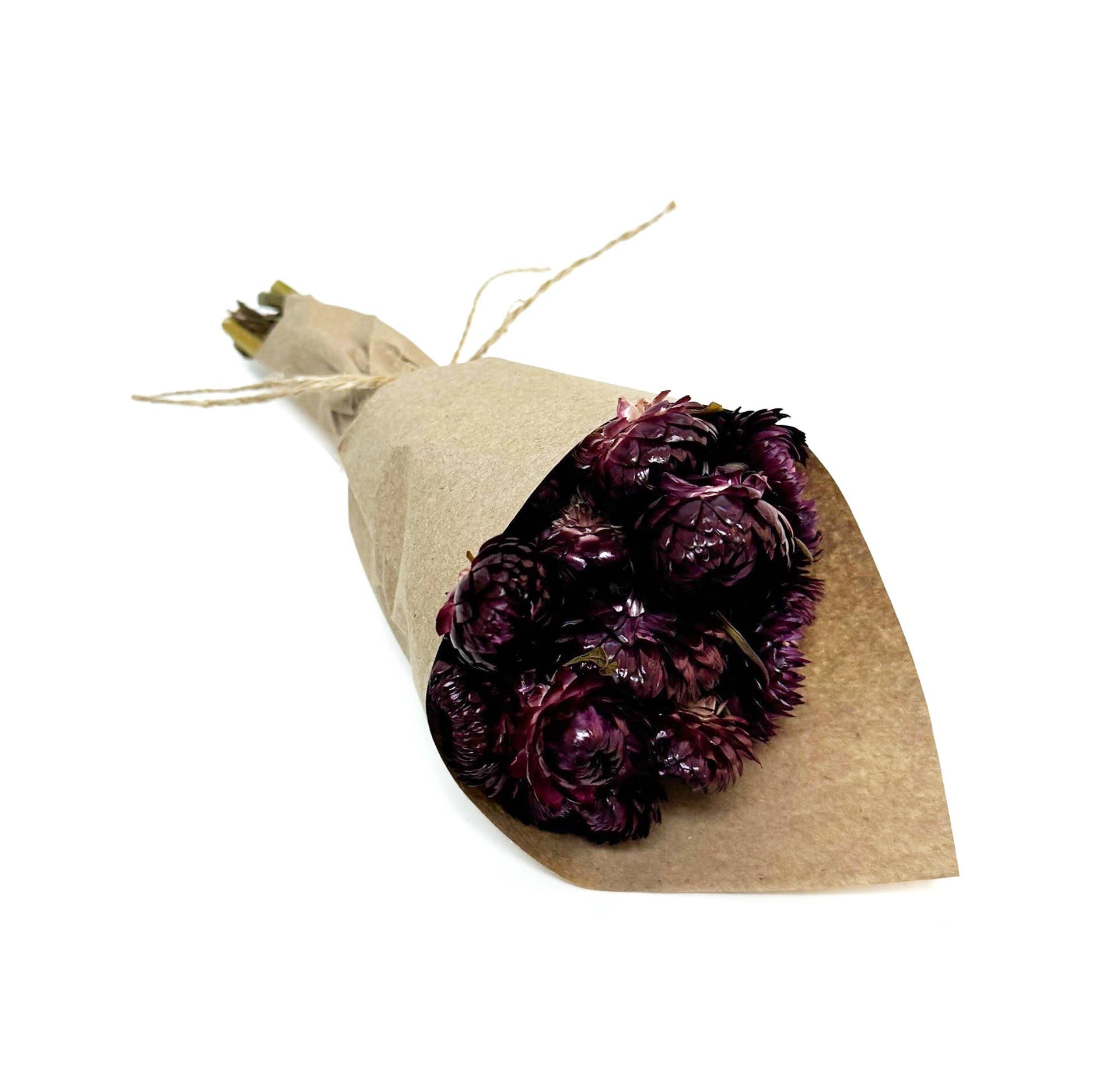 Merlot Dried Florals