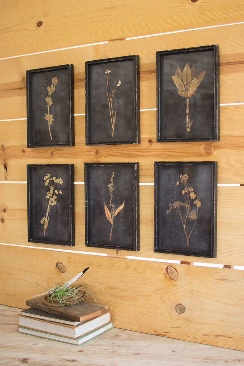 Botanical Print Under Glass