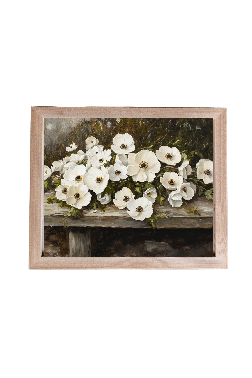 Vintage Anemone Framed Art