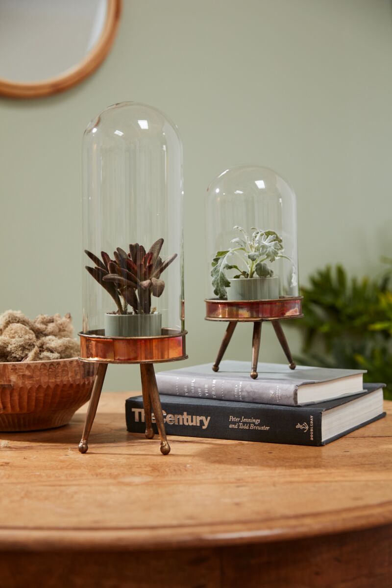 Glass and Metal Cloche Stand