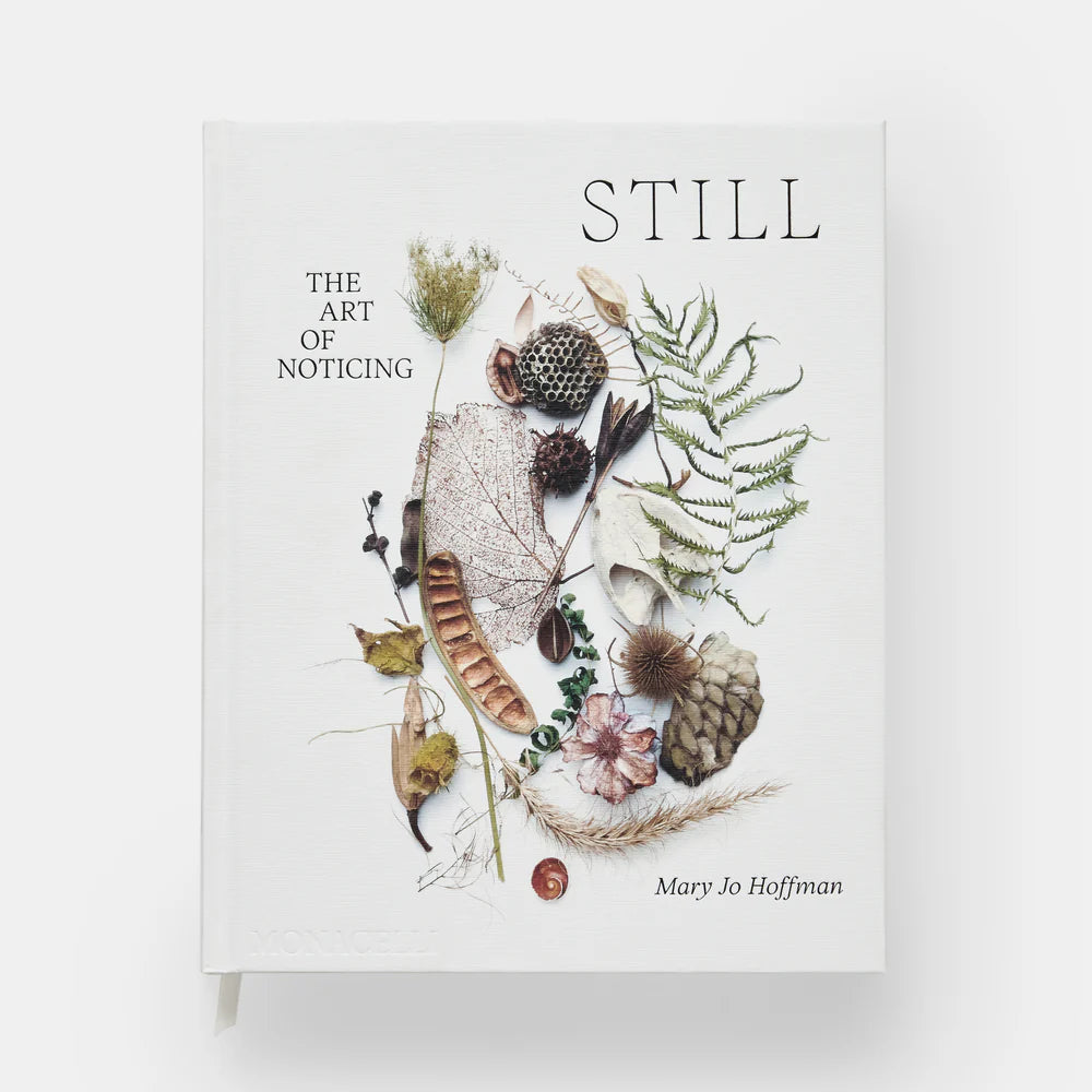 STILL: The Art of Noticing